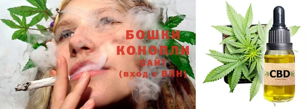 apvp Белокуриха