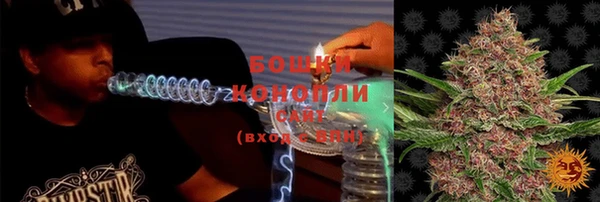гидра Белоозёрский