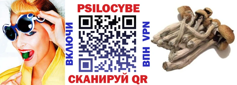 Галлюциногенные грибы Cubensis  kraken   Топки  купить наркотики сайты 