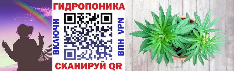 МАРИХУАНА семена  Топки 